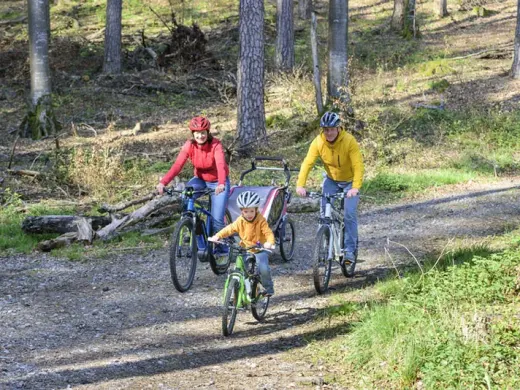 Radtour durch die Harzer Wälder